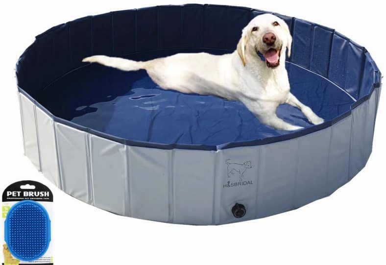 Foldable Pet Swimming Pool Above Ground