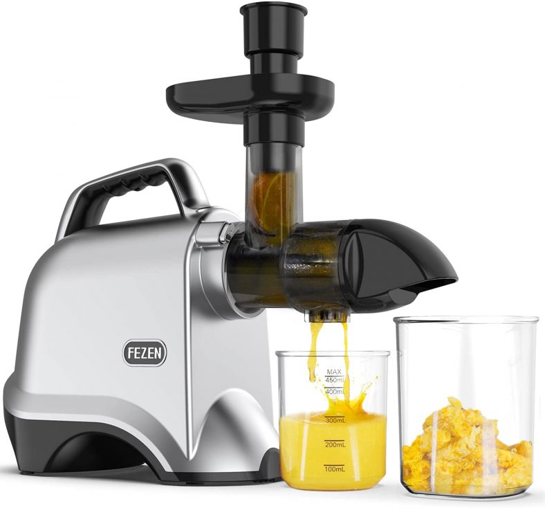 FEZEN Juicer Machines Vegetable and Fruit, Cold Press Juicer