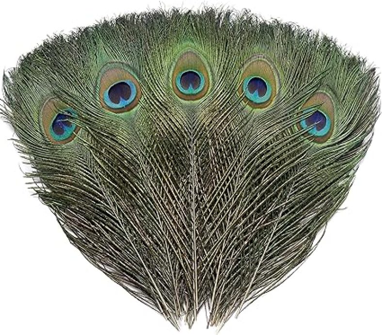 12 PCS Real Natural Peacock Eye Feathers 10-12 inch for DIY Craft