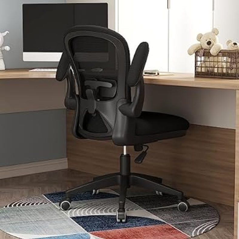 Ergonomic Office Chair Adjustable Arms and Lumbar Support