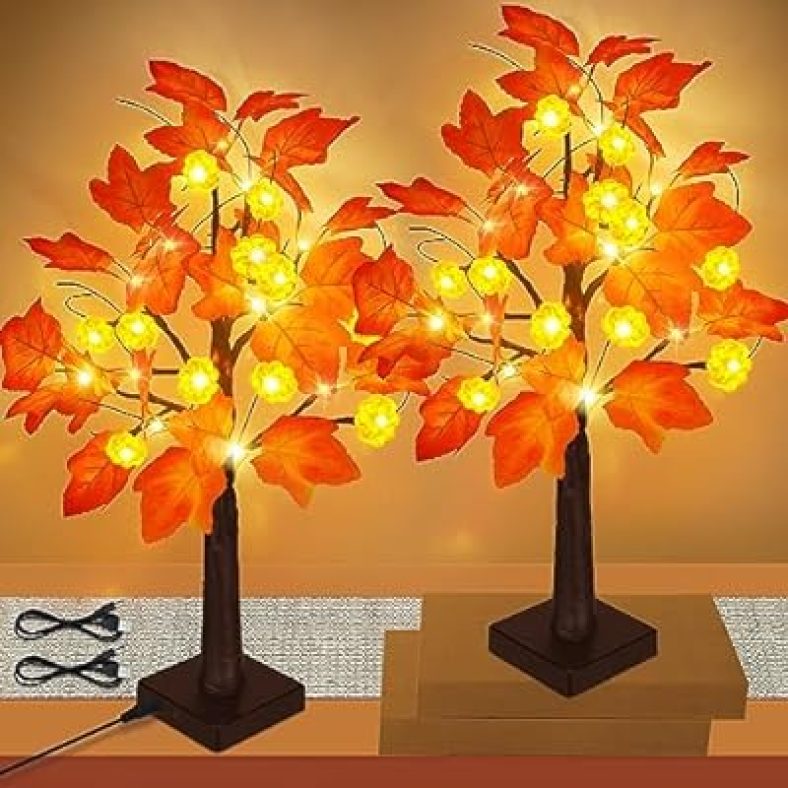 516dJWb1WXL. SR400400