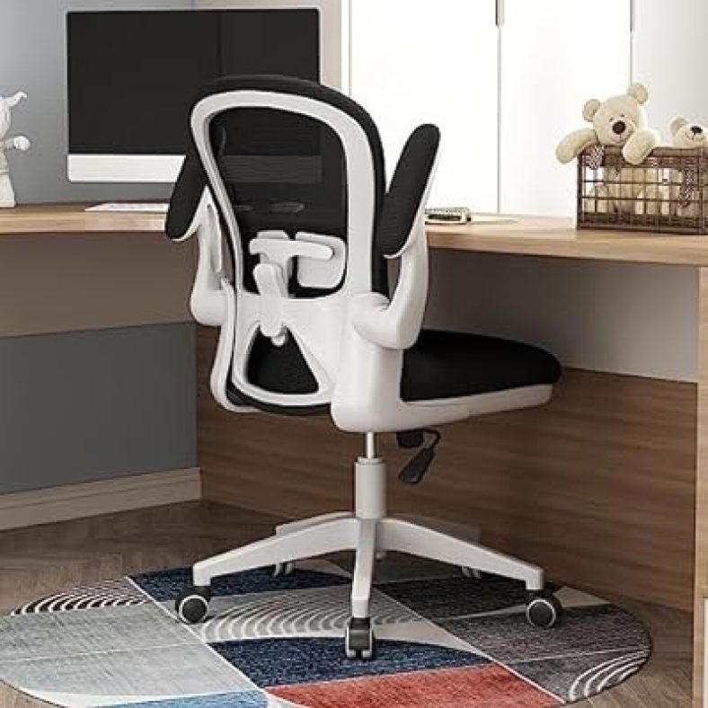 Apusen Ergonomic Office Chairs with Adjustable Lumbar Support
