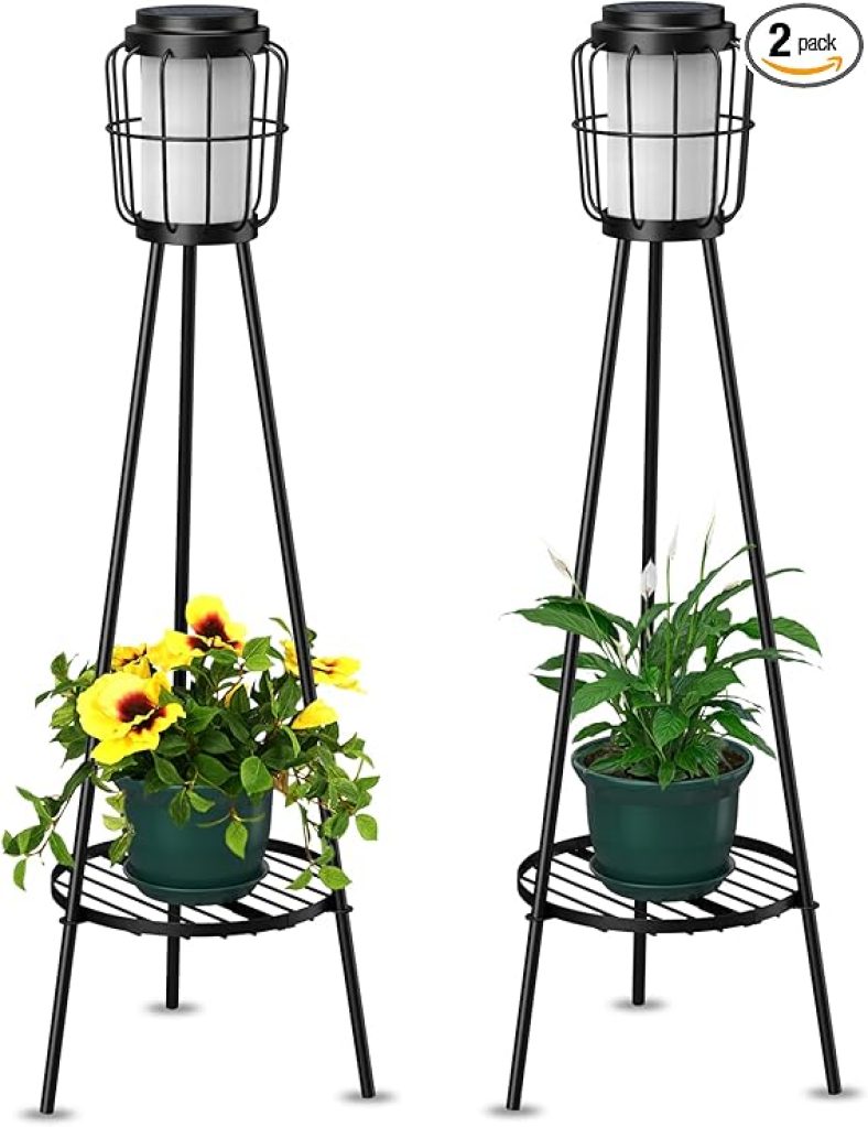 61W6YNh5MOL. AC SX569 PIbundle 2TopRight00 SH20