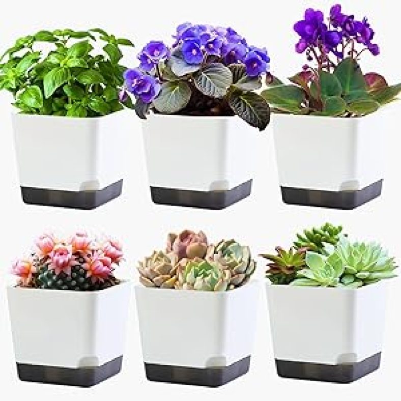 3.9 inch Succulent Pots with Drainage Hole, 6 Pack Plastic Modern Style Small Plant Pots
