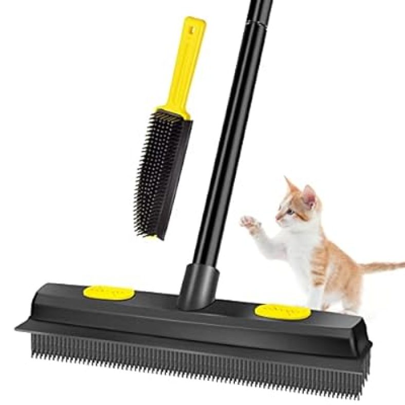 Pet Hair Removal Broom Rubber Broom