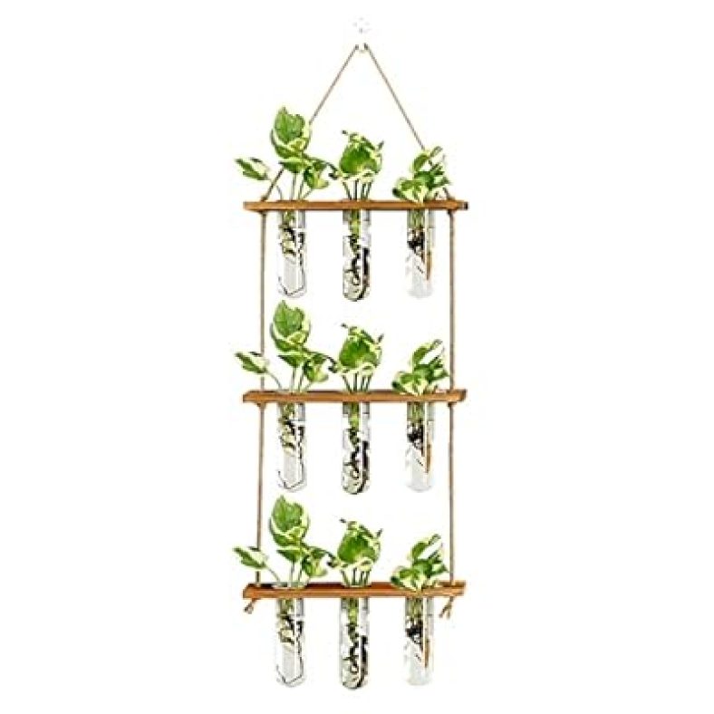 Wall Hanging Propagation Station with Wooden Stand Glass Test Tubes Tiered Planters