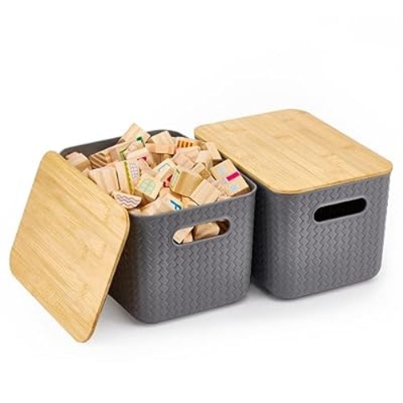 Storage Bins with Bamboo Lids  Plastic Storage Containers with Lids, 2 pack