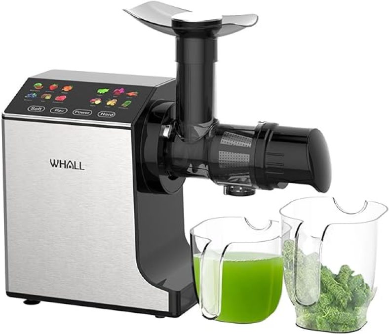 Masticating Slow Juicer, Professional Stainless Juicer Machines for Vegetable and Fruit