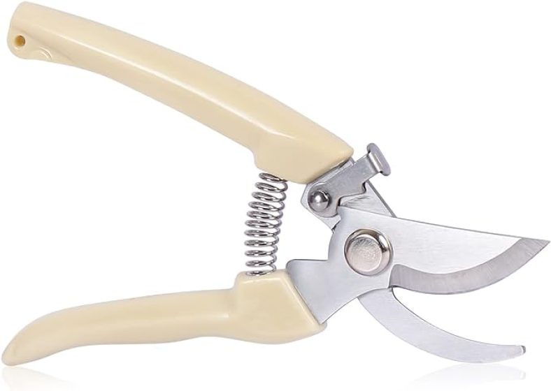 Garden Scissors for Plant, Tip Pruning Shears for Cutting Flowers, Trimming Plants, Bonsai and Fruits Picking (Bypass Blade Pruner)
